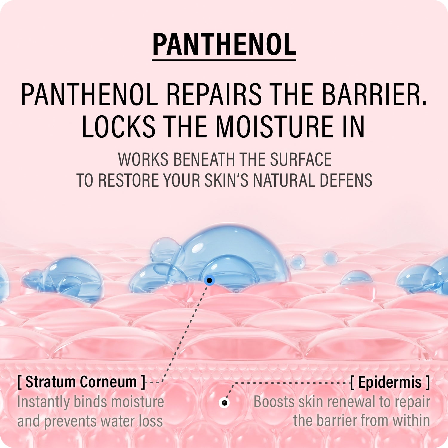 EPII Double Up Cream Ectoin & Panthenol 50ml