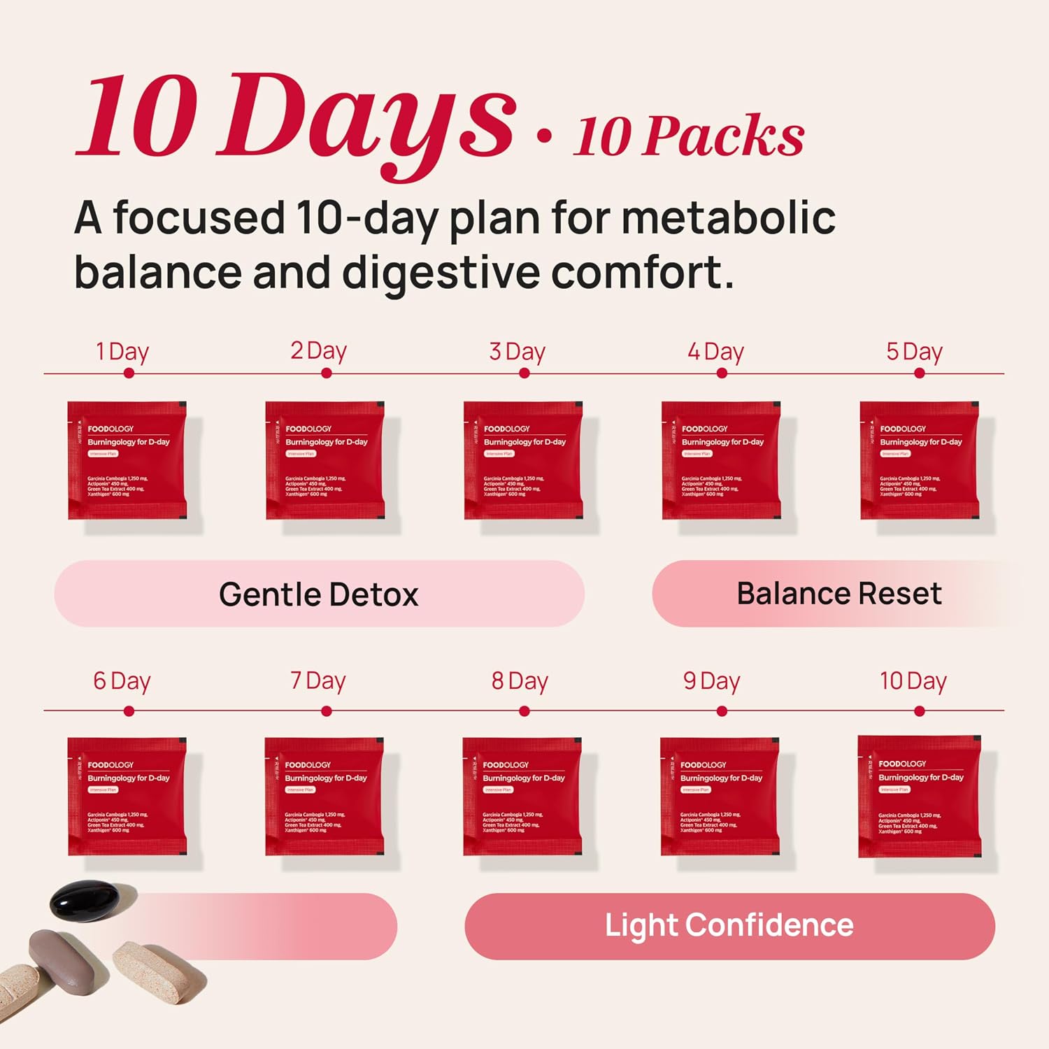 FOODOLOGY Burningology D-Day 3.8g x 10pouch