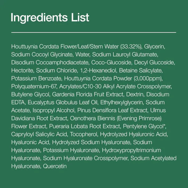 ANUA Heartleaf Quercetinol Pore Deep Cleansing Foam 25ml